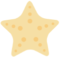 starfish